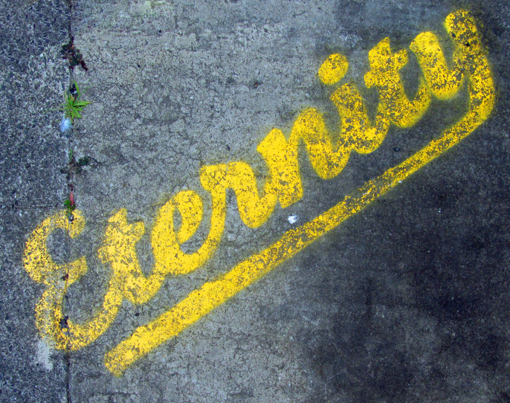 5131604440_954cbc9282_o