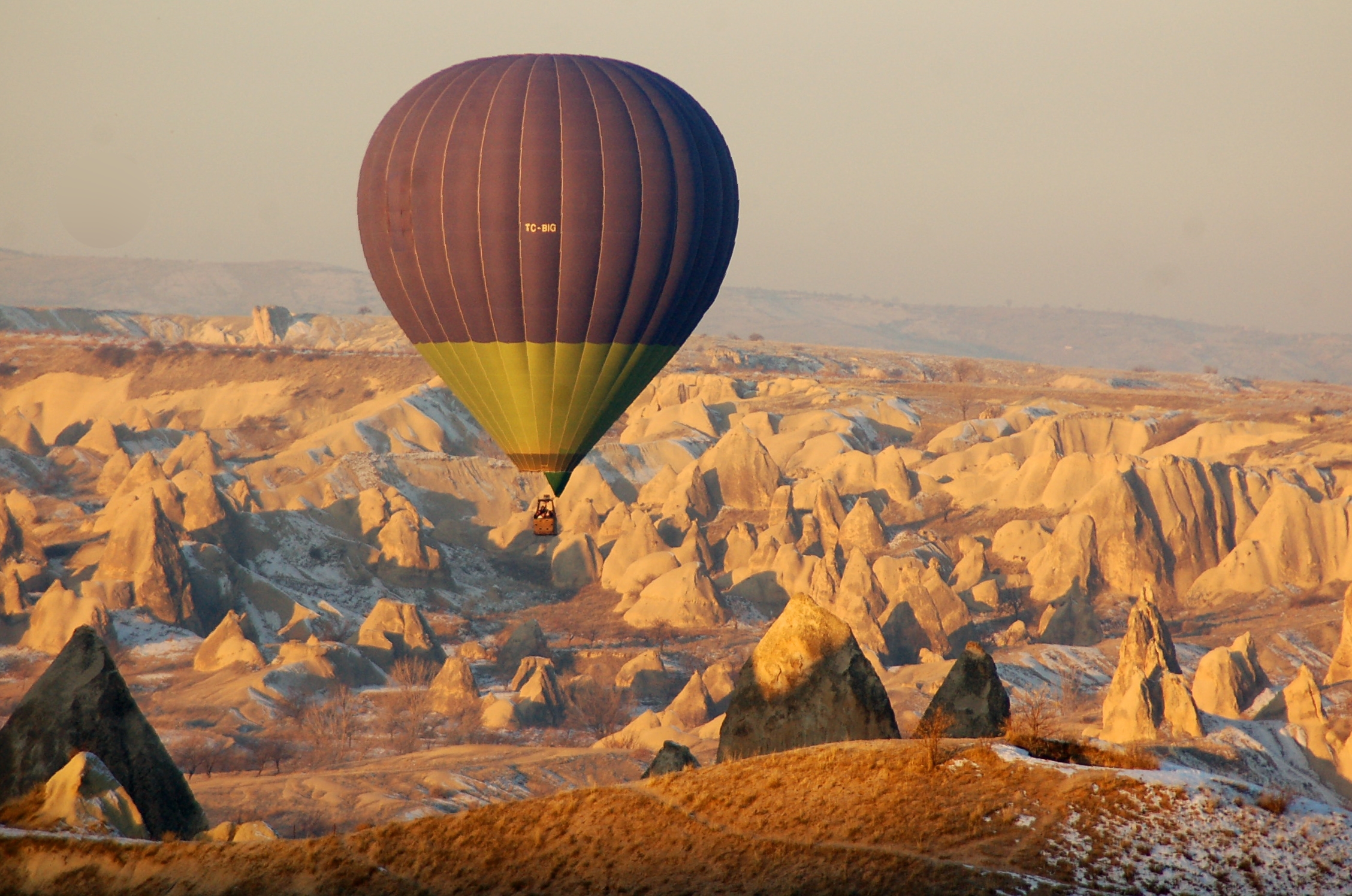 Systematic International Partner Company Identification